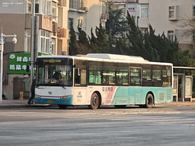 800BUS