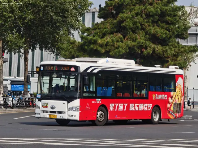 800BUS