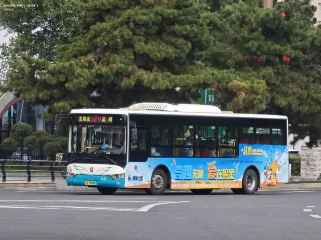 800BUS