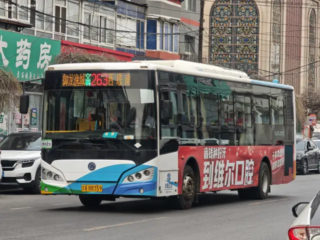 800BUS