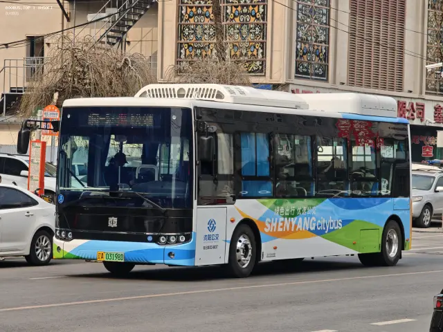 800BUS
