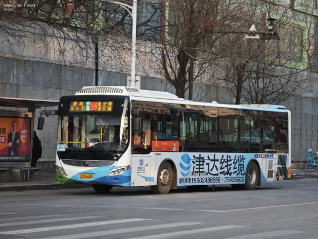 800BUS