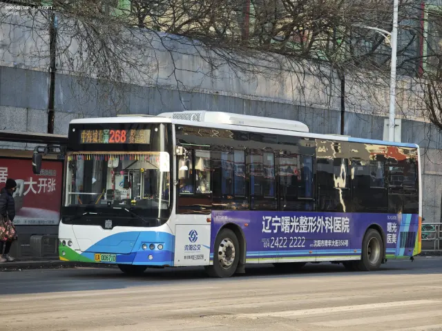 800BUS