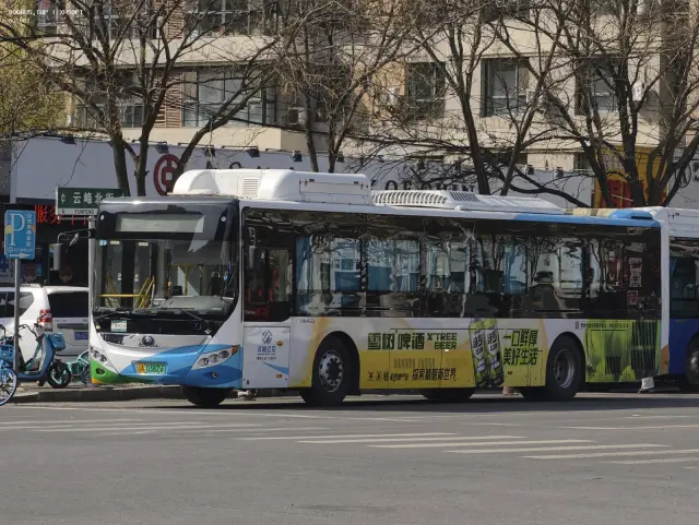 800BUS