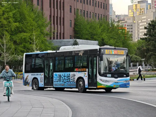800BUS