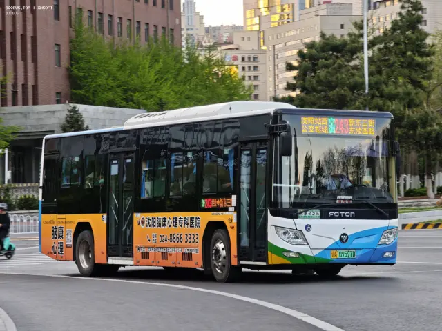 800BUS