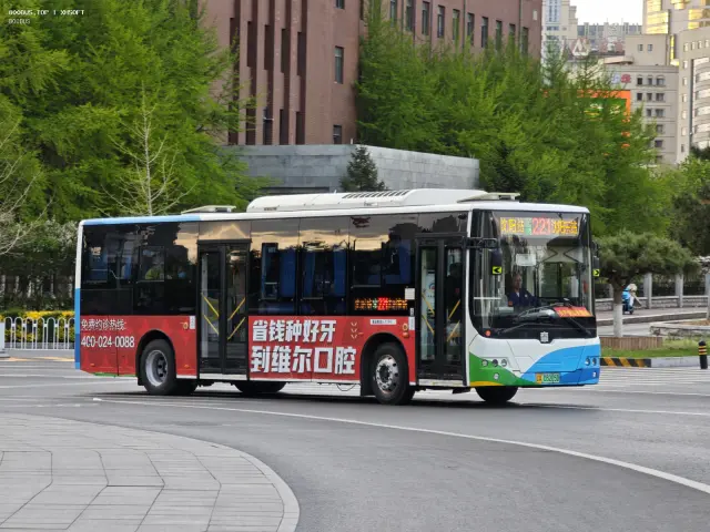 800BUS