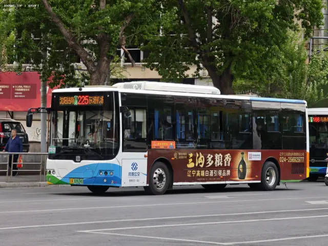 800BUS