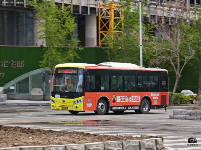 800BUS