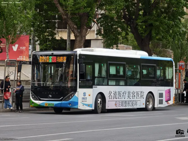 800BUS