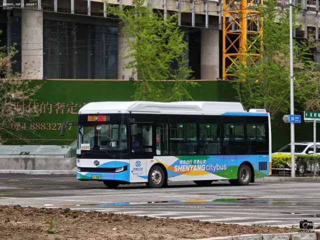 800BUS