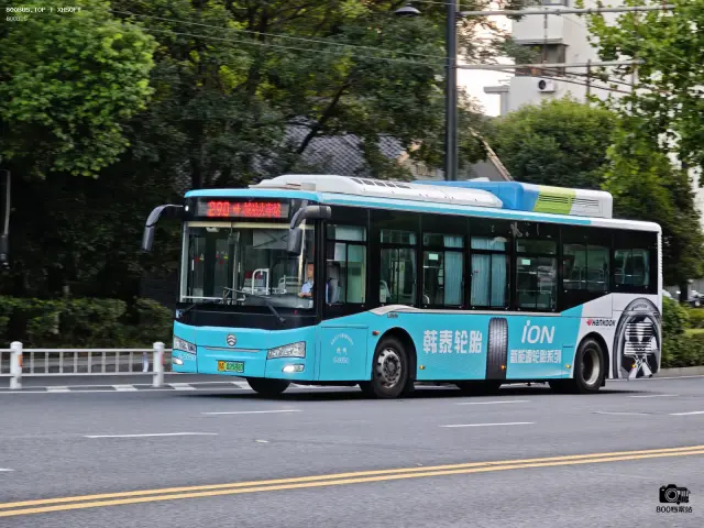 800BUS
