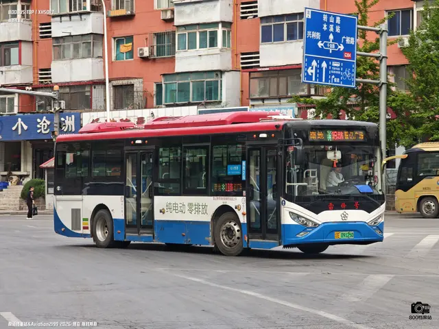 辽E 09125D