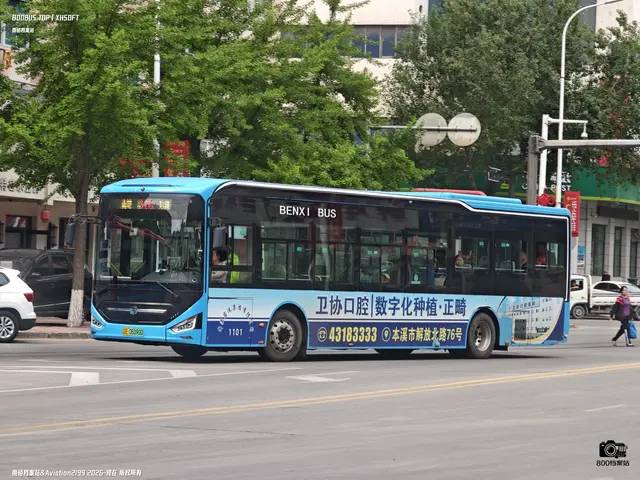 辽E 06090D