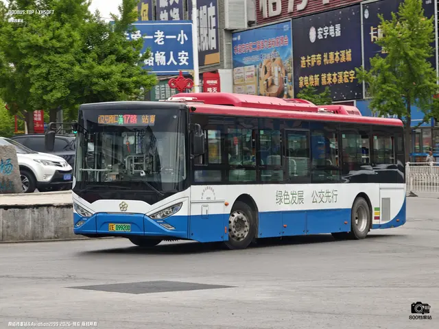 800BUS