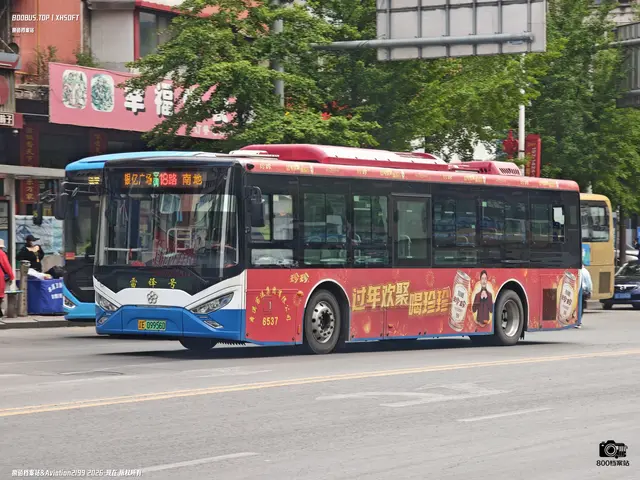 辽E 09956D