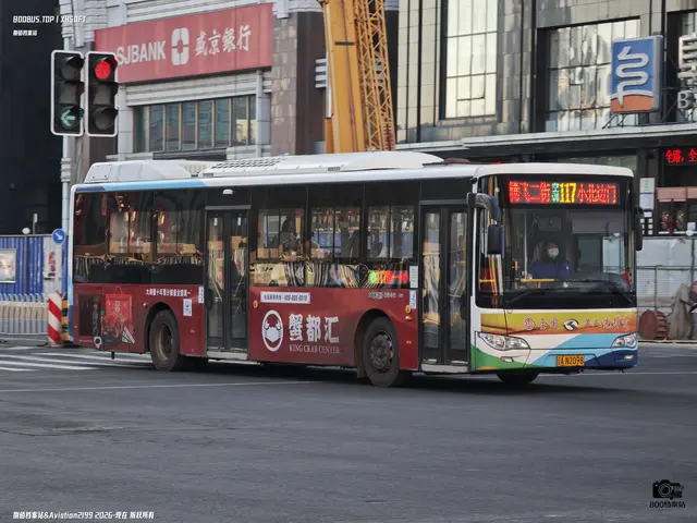 辽A N2098