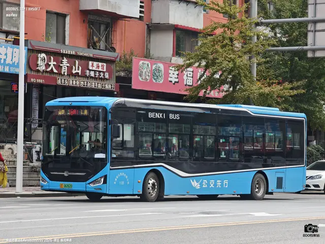 辽E 06262D
