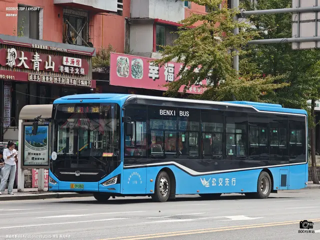 辽E 09186D