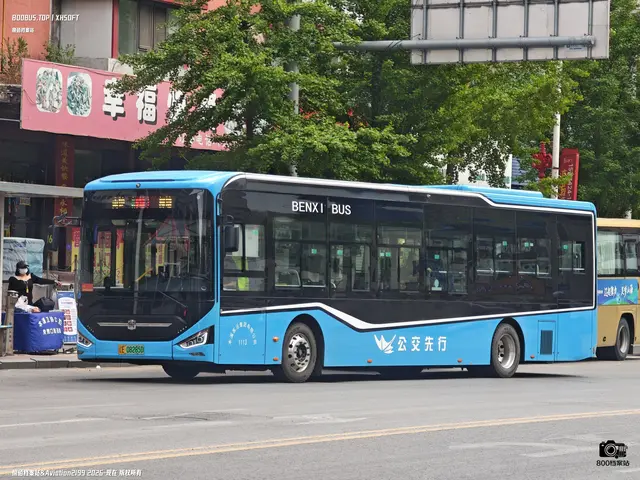辽E 08285D