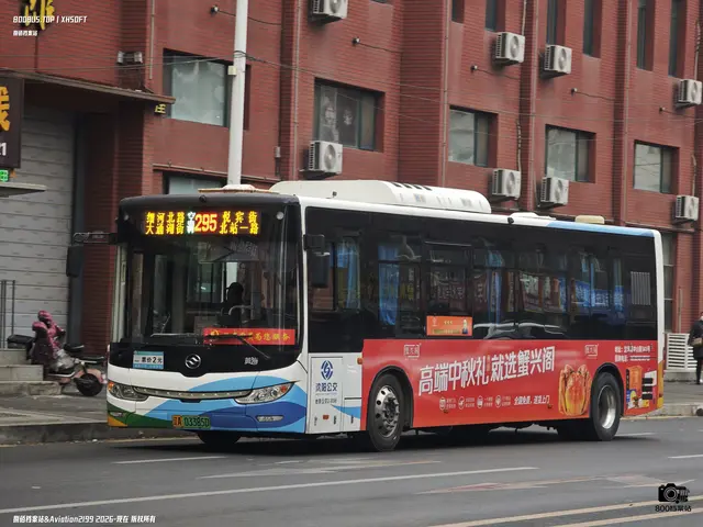 辽A 03385D