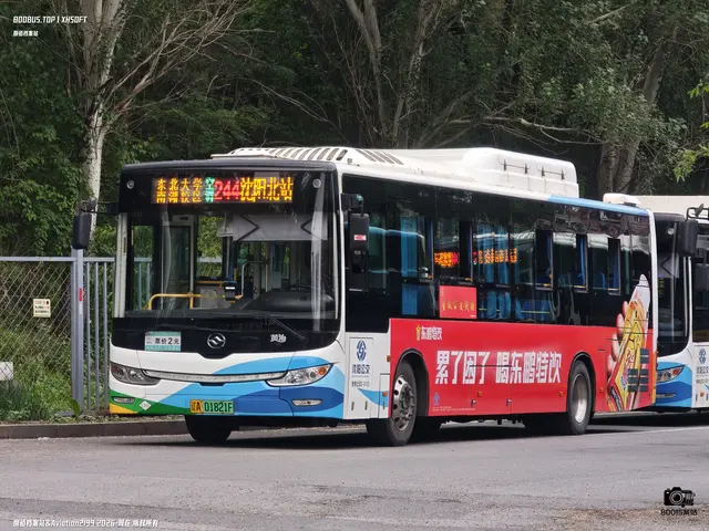 辽A 01821F