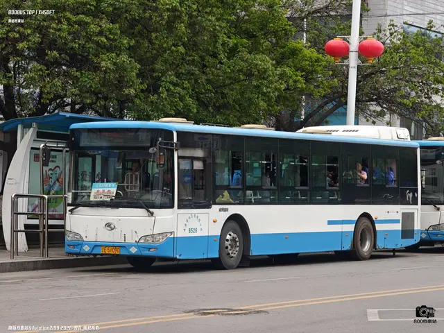 辽E 51090