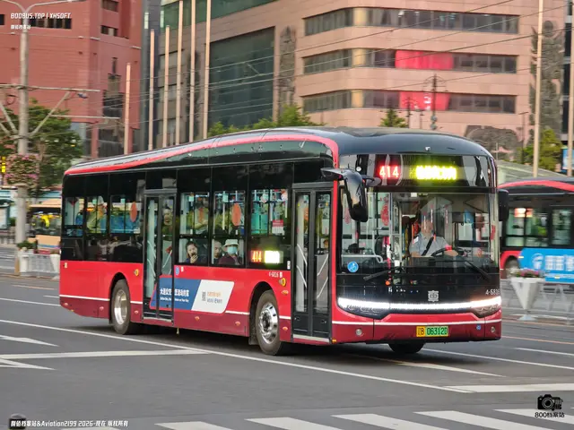 辽B 06312D