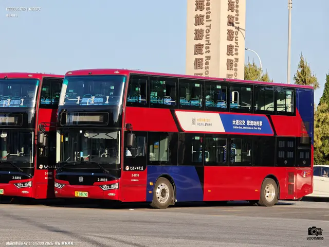 辽B 03779D