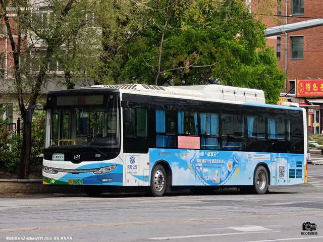 辽A 01297F