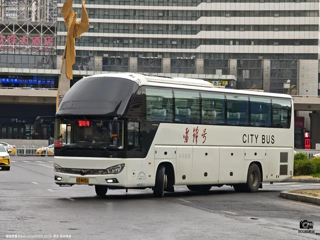 辽A N8056