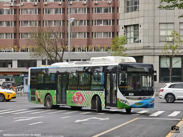 辽A 03821F
