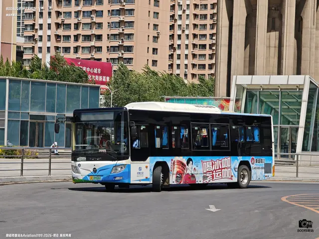 辽A 09506D