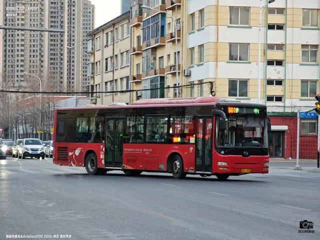 辽B L1325