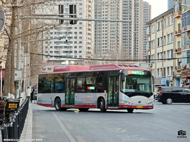 辽B L3815