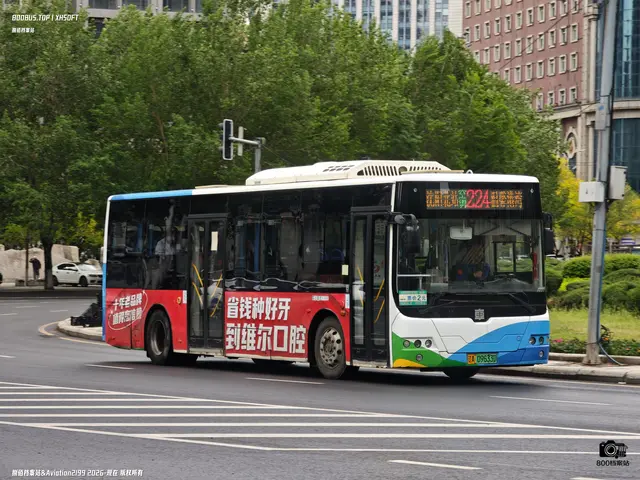 辽A 09633D