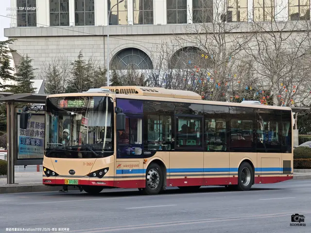 辽B 07186D