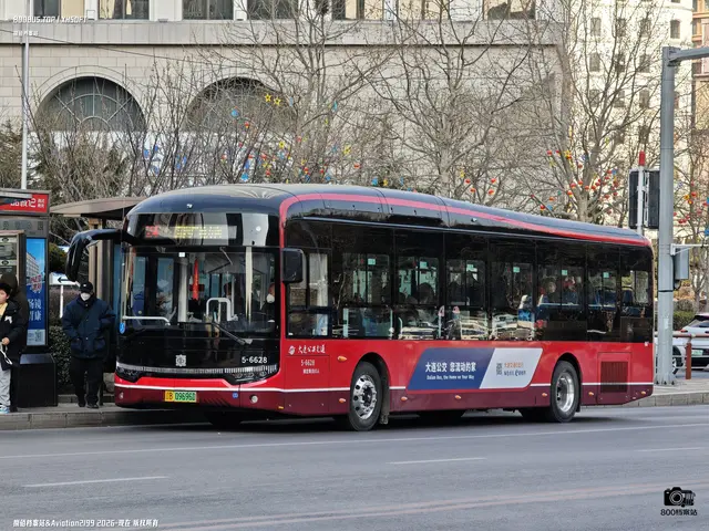 辽B 09696D