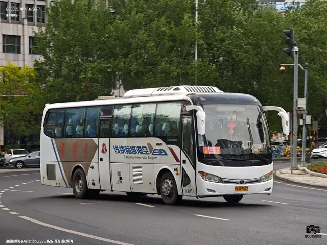 辽A M9202