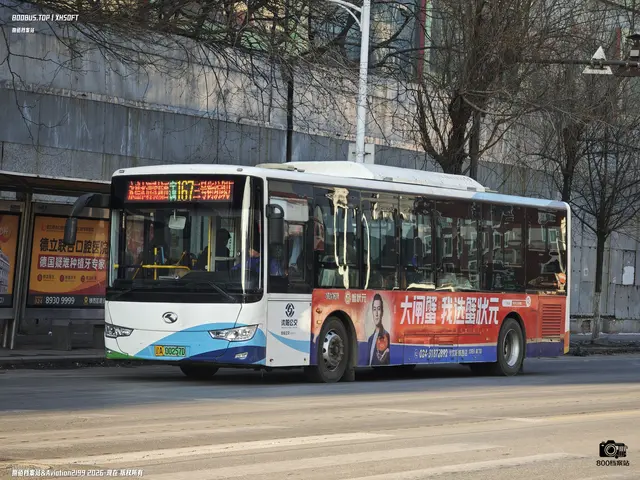 辽A 00257D