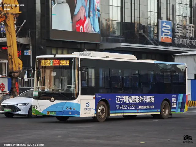 辽A 08919D