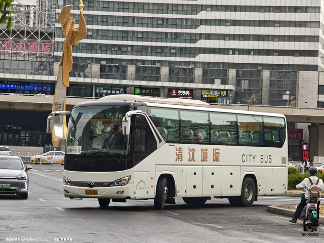 辽A DE388