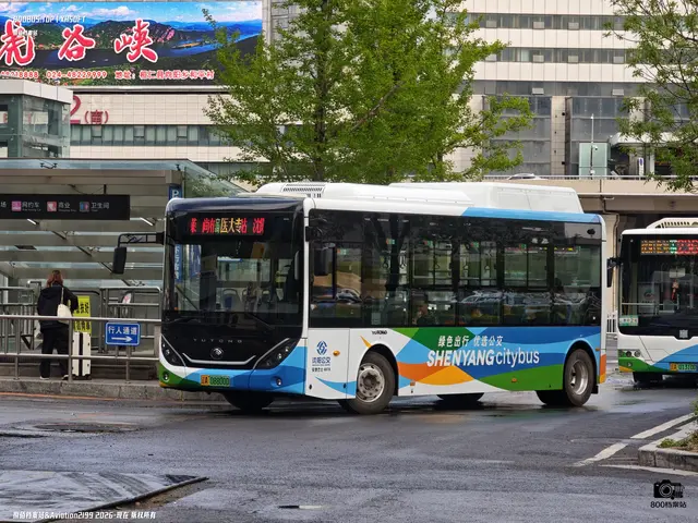 辽A 08800D