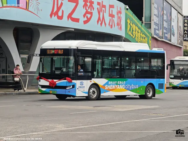 辽A 08091F