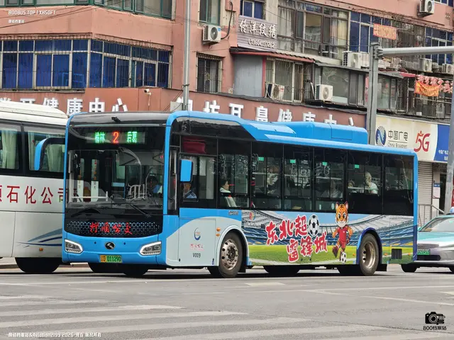 辽D 01129D