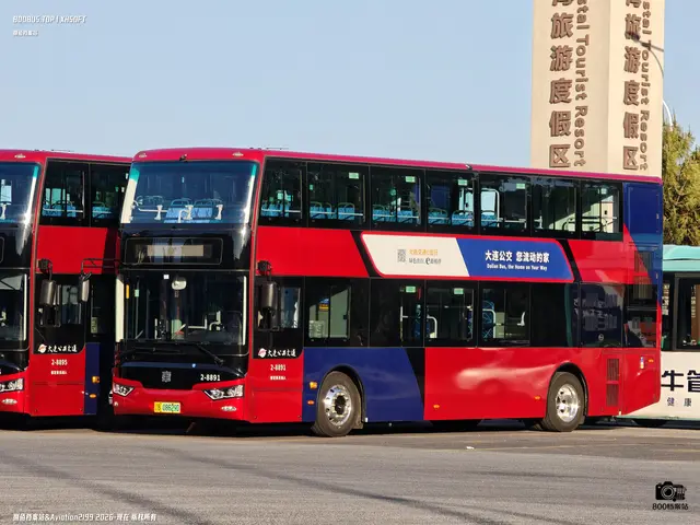 辽B 08629D