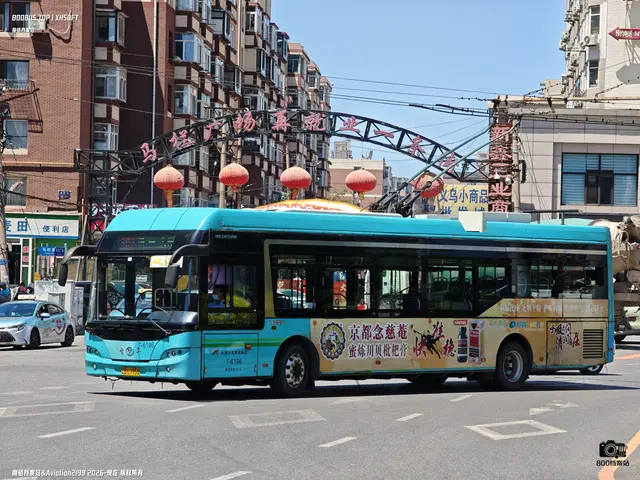 辽B L7955