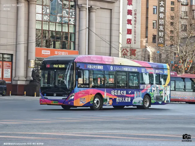 辽B 06586D