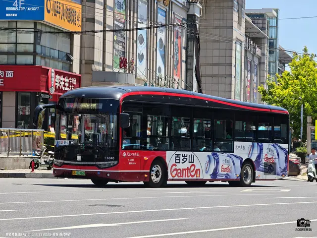 辽B 00387D