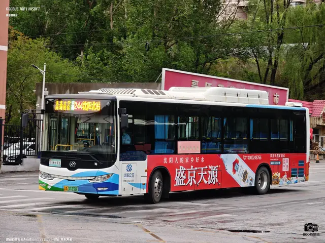 辽A 01231F